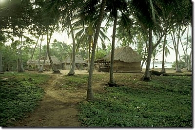 dia03620.jpg