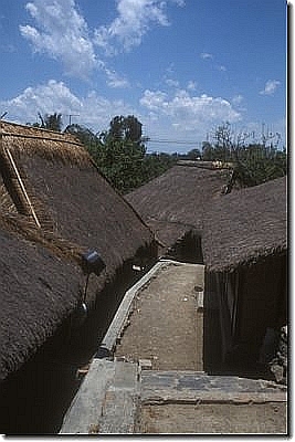 dia21377.jpg