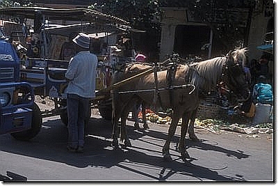 dia21442.jpg