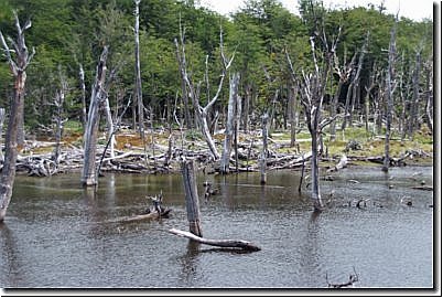 argentinien2007bild087.jpg