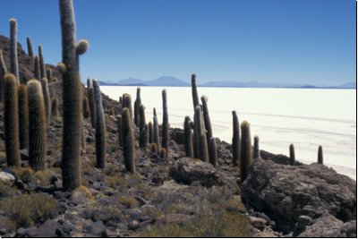 bolivien1998bild036.jpg