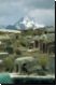 bolivien1998bild054.jpg