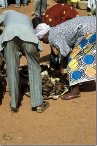 burkina2005bild011.jpg