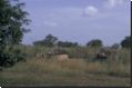 burkina2005bild027.jpg