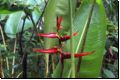 costarica2010bild020.jpg
