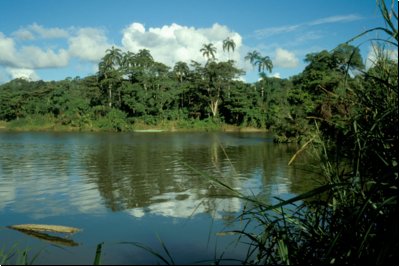 ecuador1988bild020.jpg