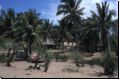 mocambique2003bild036.jpg