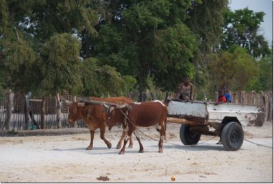 caprivi2008bild012.jpg
