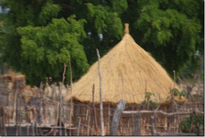 caprivi2008bild014.jpg