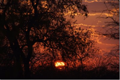 caprivi2008bild017.jpg