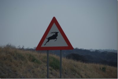 caprivi2008bild020.jpg