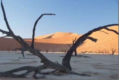 deadvlei2008bild010.jpg