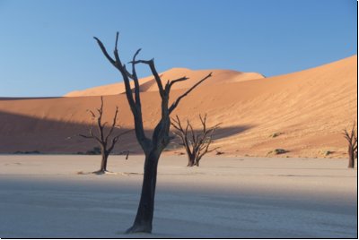 deadvlei2008bild014.jpg