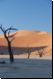 deadvlei2008bild013.jpg