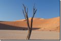 deadvlei2008bild018.jpg