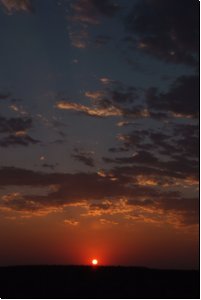 etosha2008bild043.jpg