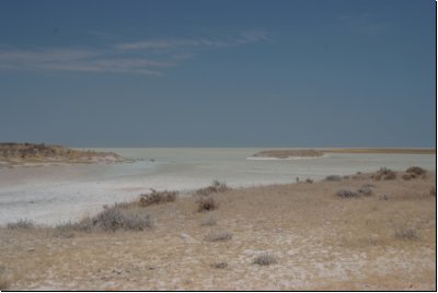 etosha2008bild065.jpg