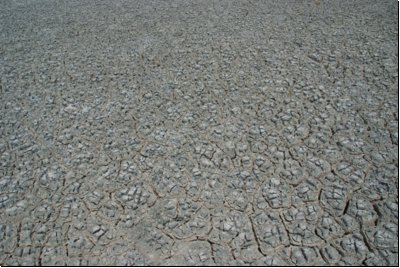 etosha2008bild069.jpg