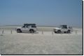 etosha2008bild068.jpg
