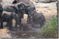 etosha2008bild074.jpg