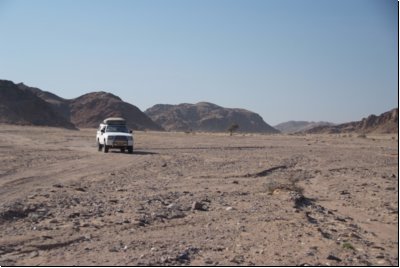 hoanib2008bild019.jpg
