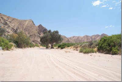 hoanib2008bild025.jpg