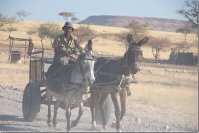 hoanib2008bild042.jpg