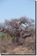 nordnamibia2008bild028.jpg