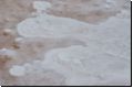 skeleton2008bild023.jpg