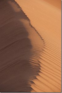 sossusvlei2008bild014.jpg