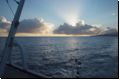 moorea2009bild005.jpg
