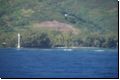 moorea2009bild011.jpg