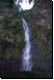 tahiti2009bild015.jpg