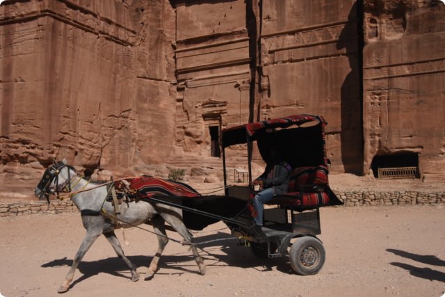 jordanien_2022_13226.jpg