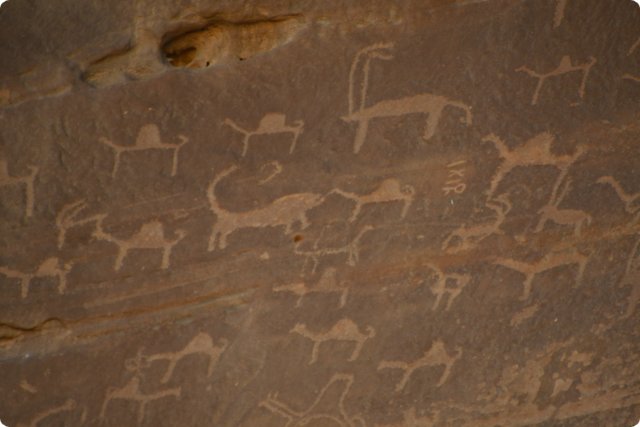 jordanien_2022_13831.jpg