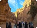 jordanien_2022_11645.jpg