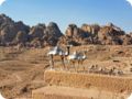 jordanien_2022_12891.jpg