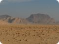 jordanien_2022_13690.jpg