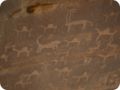 jordanien_2022_13831.jpg