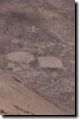 dig23005.jpg