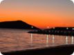 gri_0779_20241015_192904.jpg