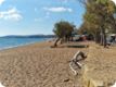 gri_0904_20241016_150526.jpg