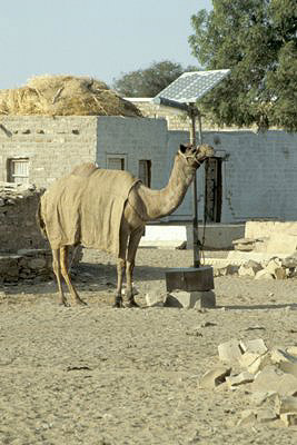 bild_gross_indien_2003_032.jpg