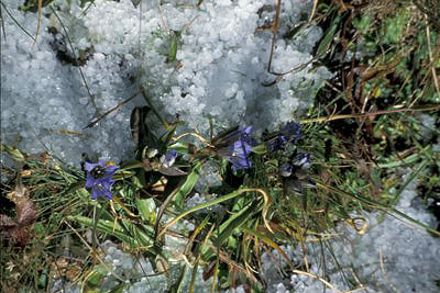 bild_gross_kirgisistan_014.jpg