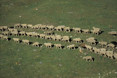 bild_gross_kirgisistan_017.jpg