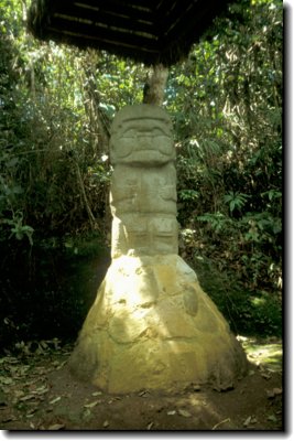 dia03656.jpg