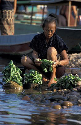 bild_gross_laos_015.jpg