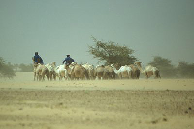 bild_gross_mali_2003_045.jpg