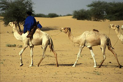 bild_gross_mali_2003_047.jpg