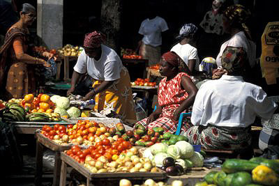 bild_gross_mozambique_029.jpg